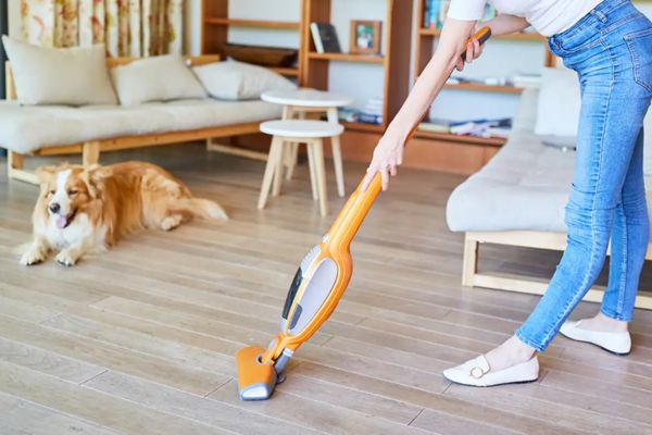 pet home cleaning